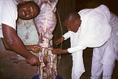 Äthiopien 2002: Lucy die Ziege