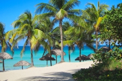 Kuba 2015: Ein schöner Ort - Palmen, Sonne, Meer und Strand