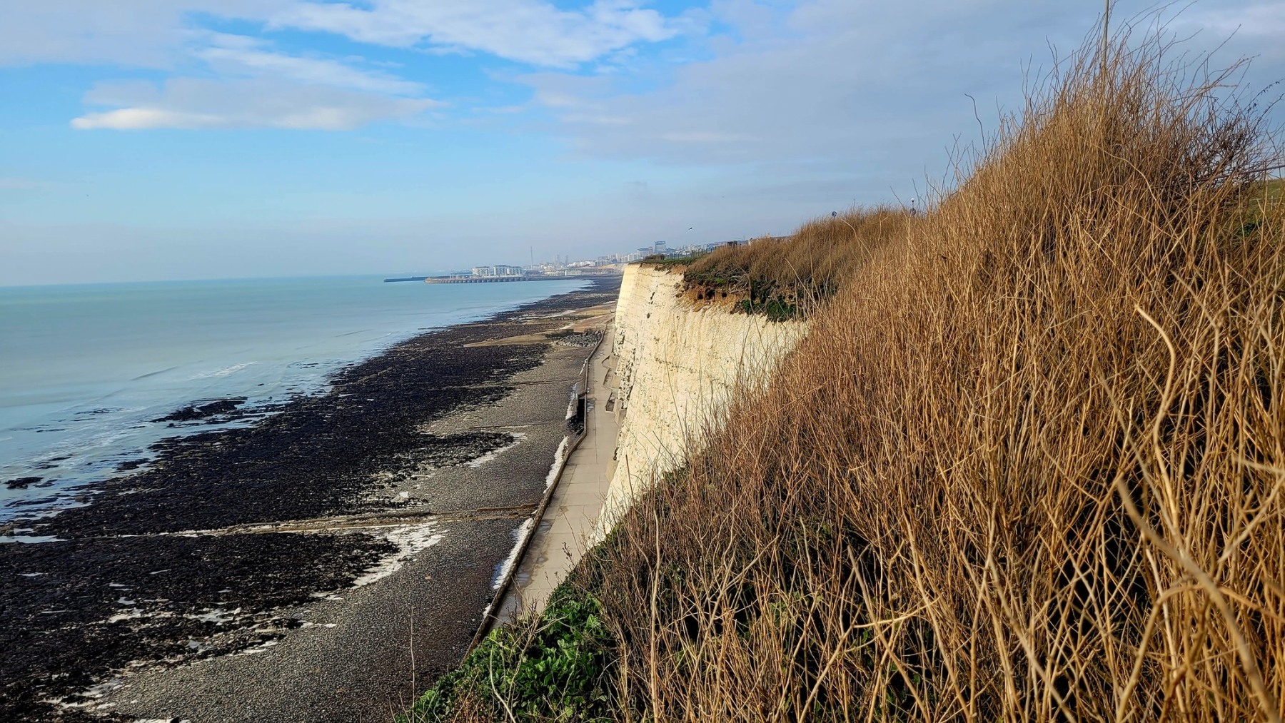 Franz-Pfuisi_in_UK_Brighton_Beach.jpg